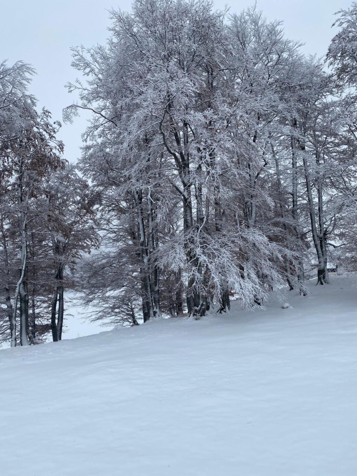 Vikendica Aleksandra Žabljak Exterior foto